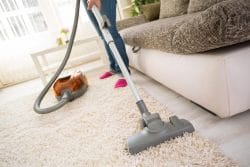 Carpet Cleaning and Carpet Installation Contractors